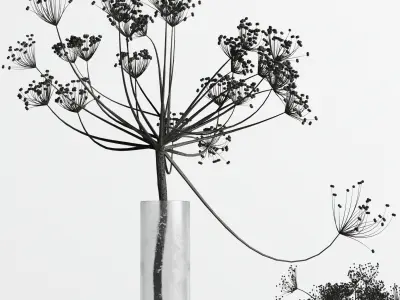 Bouquet Set 01 Vase Glass Dry Hogweed 3D model