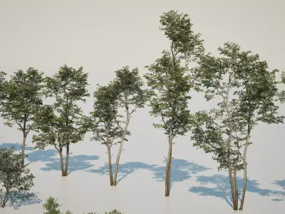 Game ready tree set - UE5 Low-poly 3D model