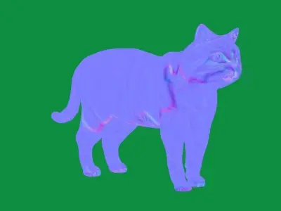 Scottish Straight Cat Low-poly 3D model