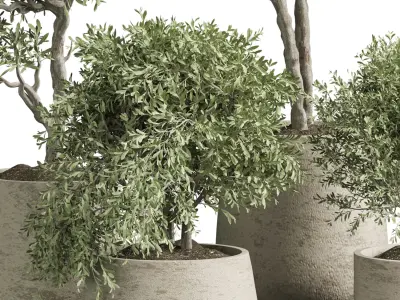 Indoor plant 02 3D model purchase