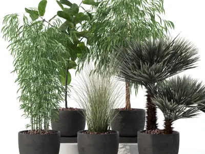 20 Photorealistic Flowers for Interiors - set 120 123 137 142 3D Model Collection