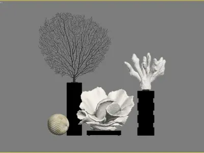 Coral Decor Set 3D model