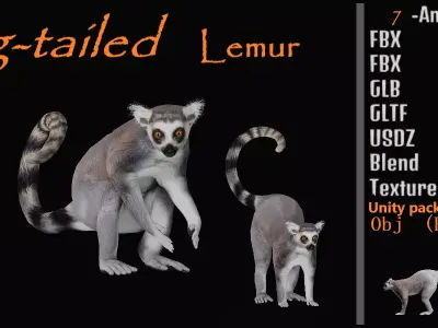 Ring Tailed Lemur Low-poly 3D model