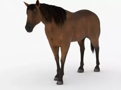 Lowpoly brown Horse Low-poly 3D model