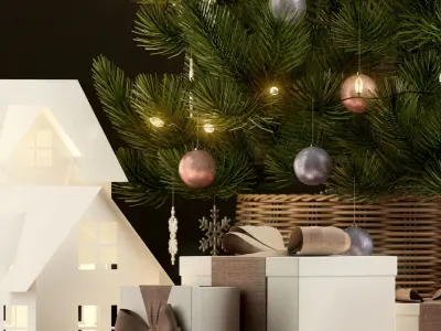 Plants collection 135 christmas tree 3D model