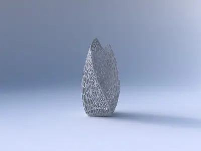 Vase twisted double arc quadratic with dense organic lattice 2 3D print model