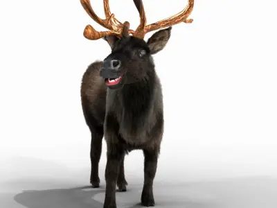 Fur Black Reindeer Rigged Blender Low-poly 3D model