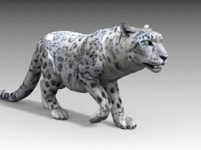 Snow Leopard Low-poly 3D model