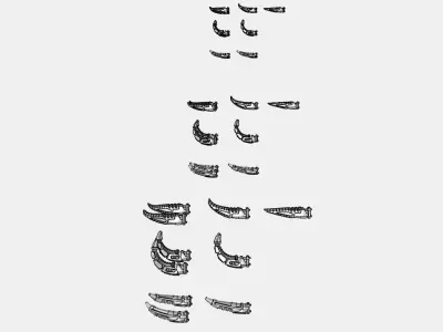 Suturus Pattern Tusks Horns And Spikes For Free Free 3D print model