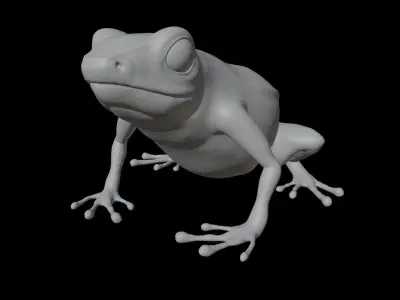 Dart Frog Low-poly 3D model