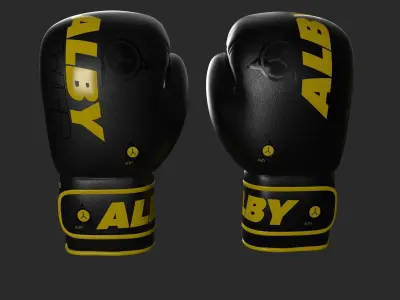 BOXING GLOVES AND GEAR 3D model
