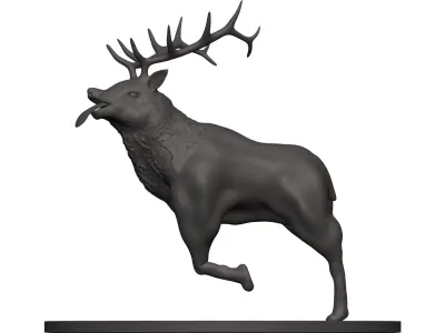 Elk-Elk deer with antlers 3D model