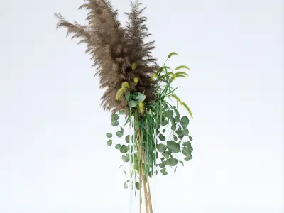 Pennisetum and Pampas grass with Eucalyptus 3D model