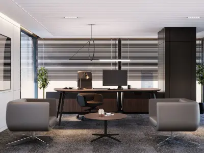 Office Design 3D model get