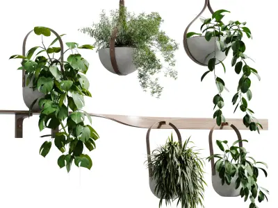 wall plant - set Indoor plant 483 hanging plants on shelf  3D model