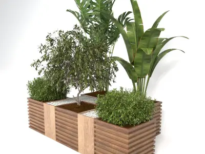 plants collection 18 3D model