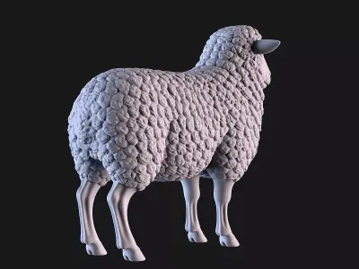 Sheep 3D print model