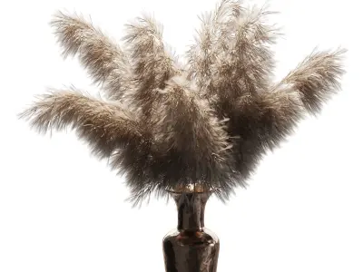 Dried plant 3D model