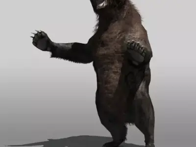 Grizzly Bear Low-poly 3D model