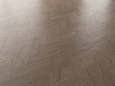Parquet Oak Missisippi WWL set 5 3D model