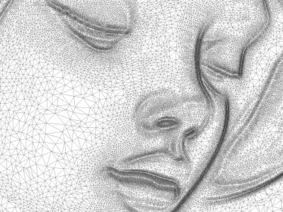 Girl with flowers in background CNC bas-relief 3Dmodel wallart 3D print model