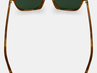 Sutton Sunglasses in Saddle Tortoise with Polished Gold 3D model