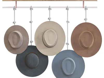 Decorative hat set 3D model