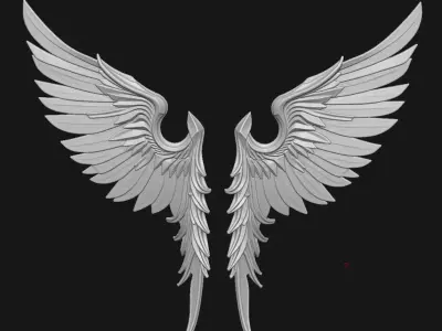 Wings 3D print model