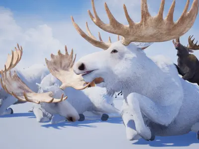 Realistic Moose Low-poly 3D model