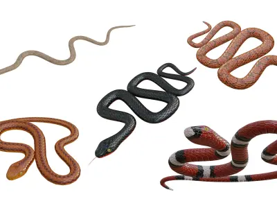 Snake procedural Low-poly 3D model