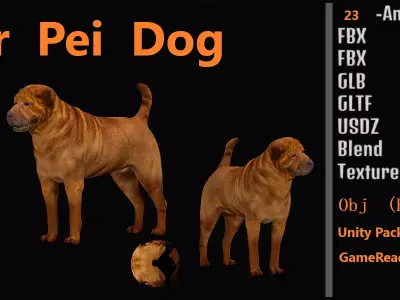 Shar Pei Dog Low-poly 3D model