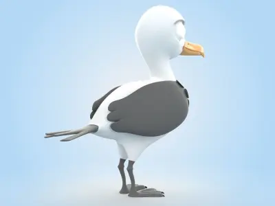 Albatross 3D model