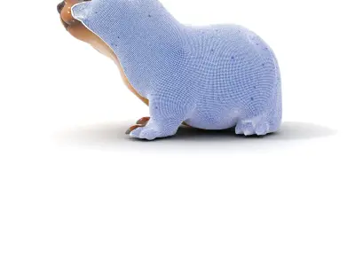 Realistic Otter Model Pack for Animation and Games Low-poly 3D model