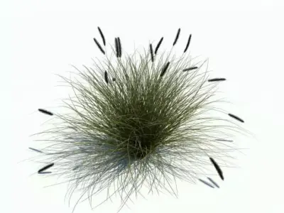 Decorative Stylish Plant 3D model