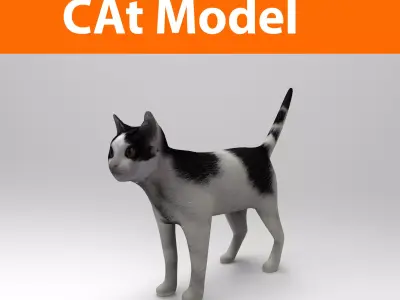 White Black Cat model 3D  Low-poly 3D model