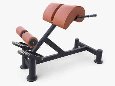 Hyperextension bench 3D model