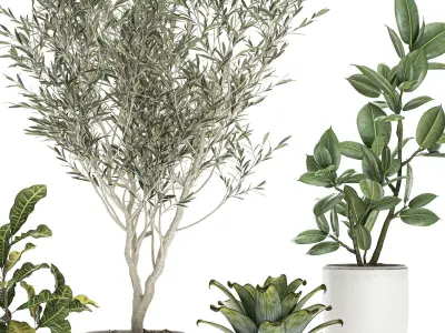 Plants in a white pot for the interior 673 3D model