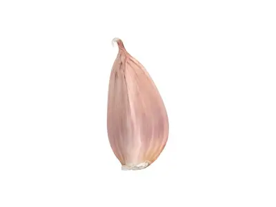 Photorealistic Garlic Clove 3D Scan 3D model