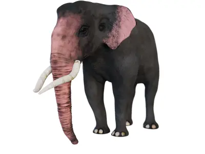 Elephant Low-poly 3D model