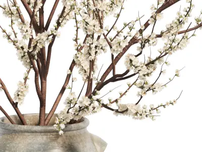 Flower In Vase   24 3D model