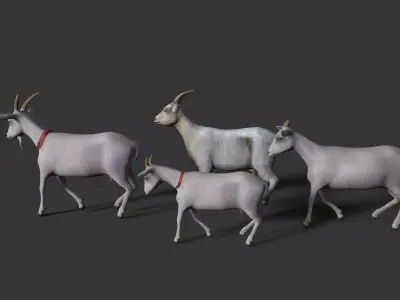 sheep Low-poly 3D model
