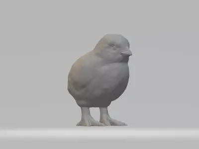 Chick bird 3D print model
