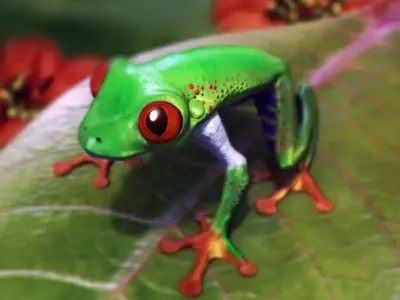 Frog red eyes Low-poly 3D model