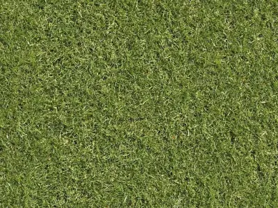 Environment Texture Free 3D model