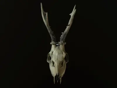 Deadly Skull 01 Low-poly 3D model