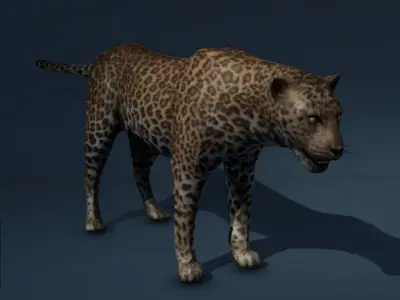 Leopard Game Ready Model Low-poly 3D model