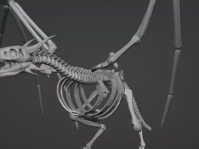 skeleton dragon blender Low-poly 3D model