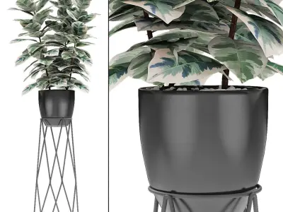 Plant in Pot Flowerpot Exotic Plant 3D model 10