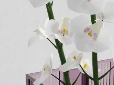 pink glass vase - white orchid 3D model