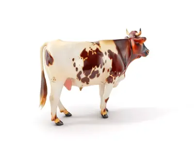 Spotted Dairy Cow D Model Pack Low-poly 3D model
